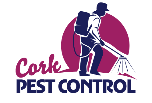 Cork Pest Control Service